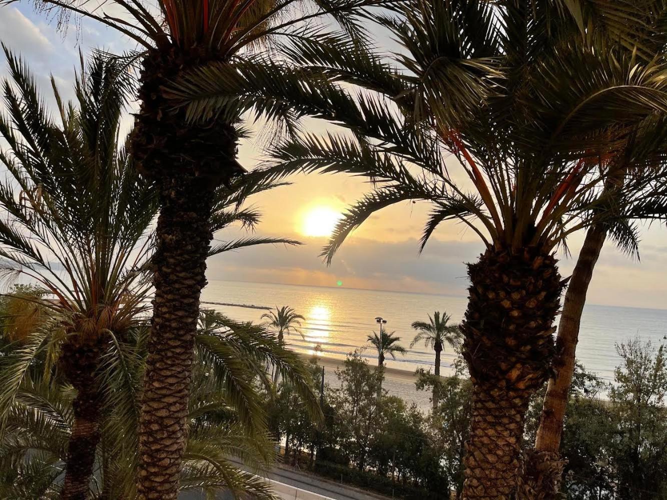 Gran Atico Con Terraza En El Centro De Alicante Exteriör bild